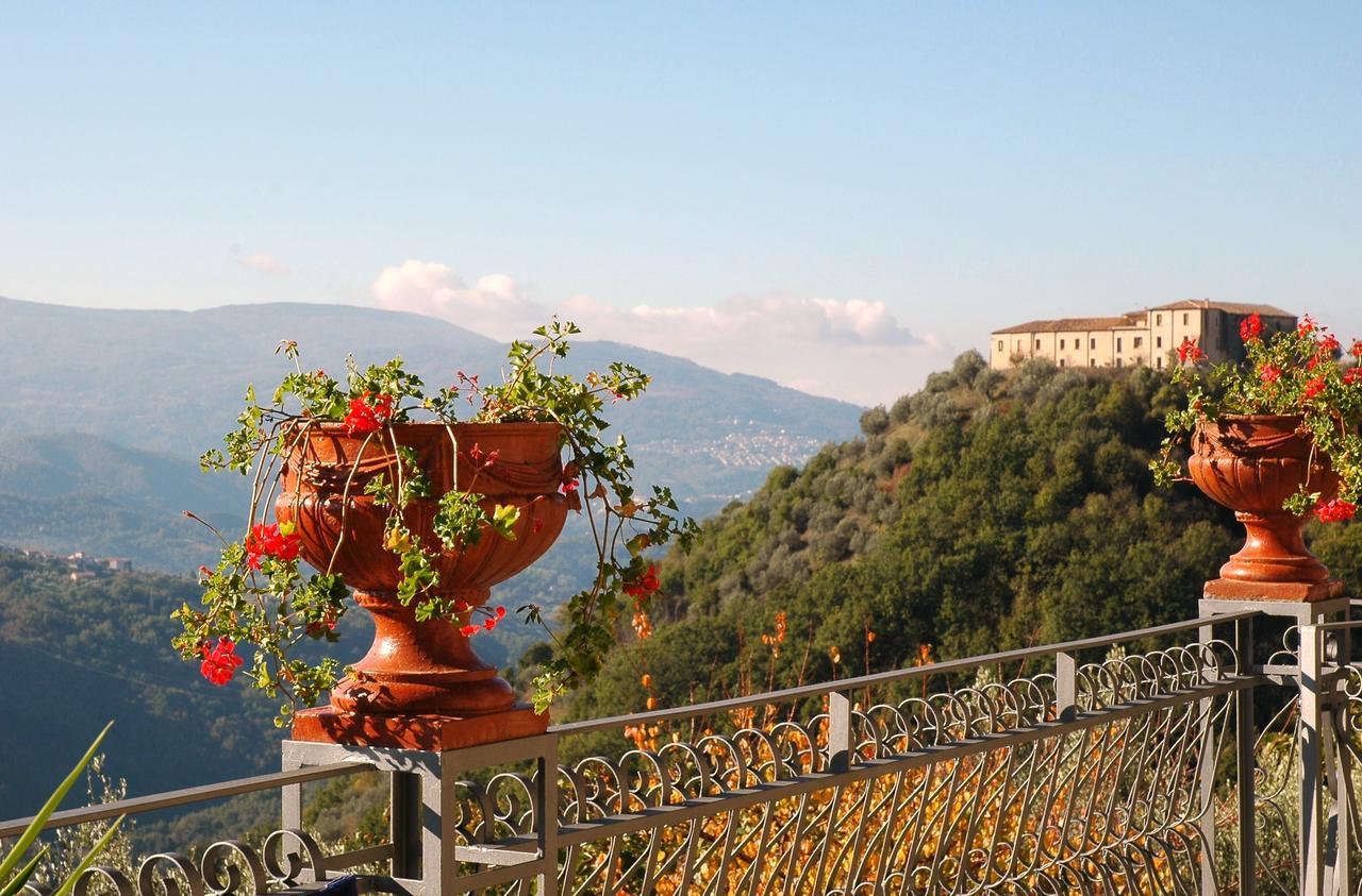 B&B Calabria Scigliano Exterior photo